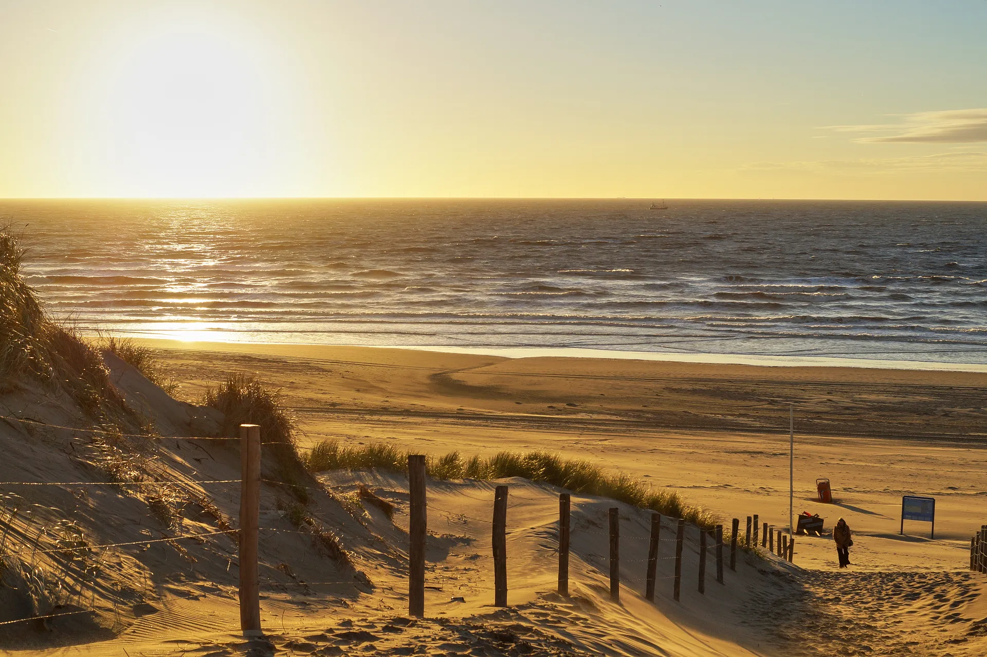 Golden-hour light over Zandvoort beach seen from the dunes near Ocean House Zandvoort